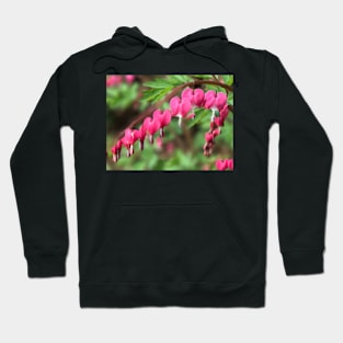 Bleeding Hearts Hoodie